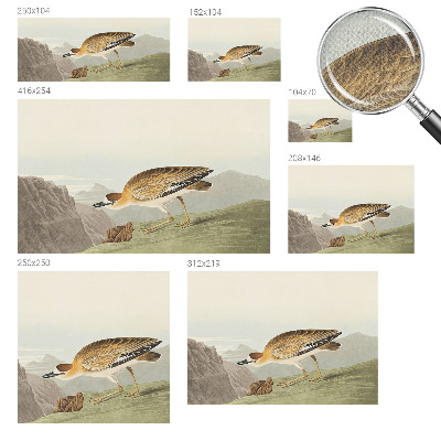 Tapety na stenu samolepiace Horský vták