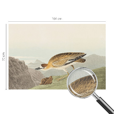 Tapety na stenu samolepiace Horský vták