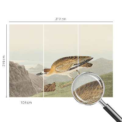 Tapety na stenu samolepiace Horský vták