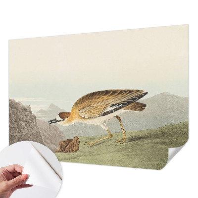 Tapety na stenu samolepiace Horský vták