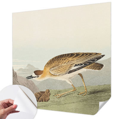 Tapety na stenu samolepiace Horský vták