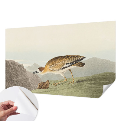 Tapety na stenu samolepiace Horský vták