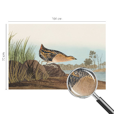 Fotografická tapeta samolepiaca Prírodná scenéria