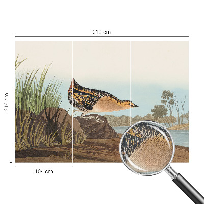 Fotografická tapeta samolepiaca Prírodná scenéria