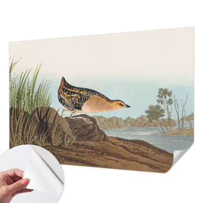 Fotografická tapeta samolepiaca Prírodná scenéria