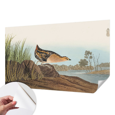 Fotografická tapeta samolepiaca Prírodná scenéria