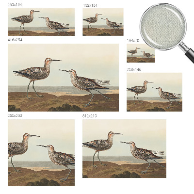 Samolepiaca fototapeta Siluety vtákov