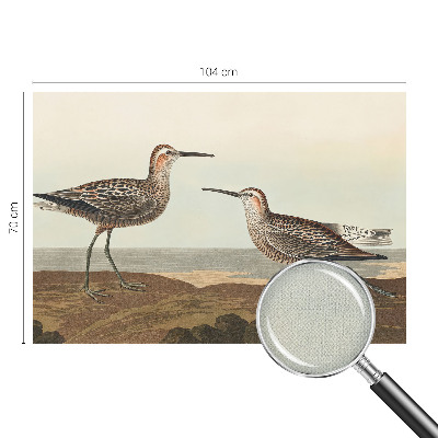 Samolepiaca fototapeta Siluety vtákov