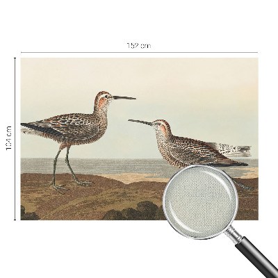 Samolepiaca fototapeta Siluety vtákov