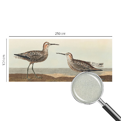 Samolepiaca fototapeta Siluety vtákov