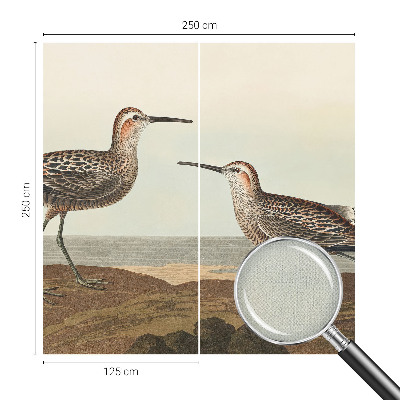 Samolepiaca fototapeta Siluety vtákov