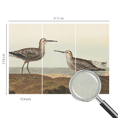 Samolepiaca fototapeta Siluety vtákov