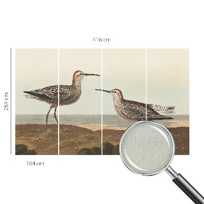 Samolepiaca fototapeta Siluety vtákov