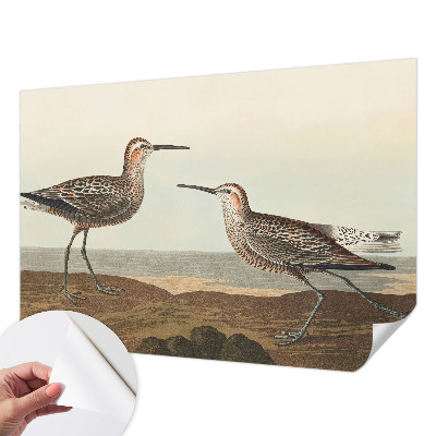 Samolepiaca fototapeta Siluety vtákov