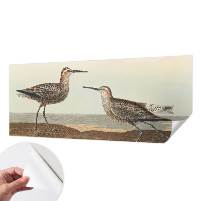 Samolepiaca fototapeta Siluety vtákov