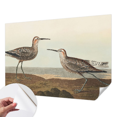 Samolepiaca fototapeta Siluety vtákov