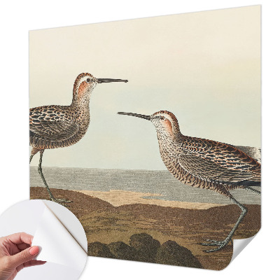 Samolepiaca fototapeta Siluety vtákov