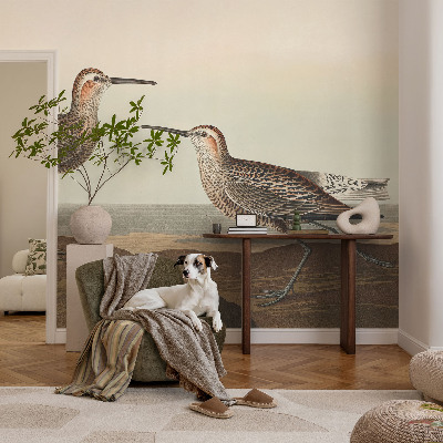 Samolepiaca fototapeta Siluety vtákov