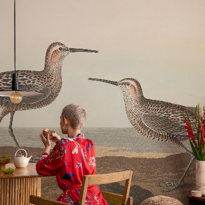 Samolepiaca fototapeta Siluety vtákov