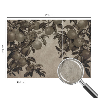 Fotografická tapeta do detskej izby Ovocný vzor