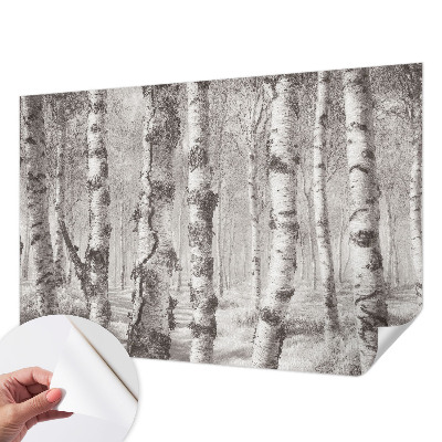 Samolepiaca fototapeta Brezový les