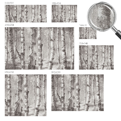 Samolepiaca fototapeta Brezový les