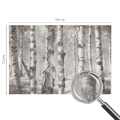 Samolepiaca fototapeta Brezový les