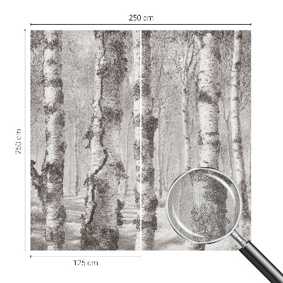 Samolepiaca fototapeta Brezový les
