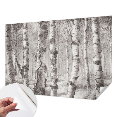 Samolepiaca fototapeta Brezový les