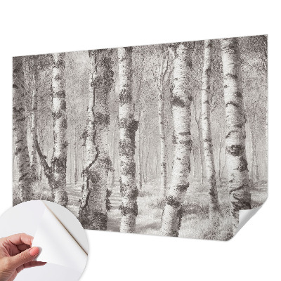 Samolepiaca fototapeta Brezový les