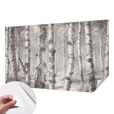 Samolepiaca fototapeta Brezový les