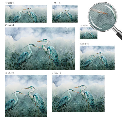 3D fototapeta Vtáky prírody