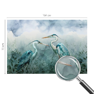 3D fototapeta Vtáky prírody