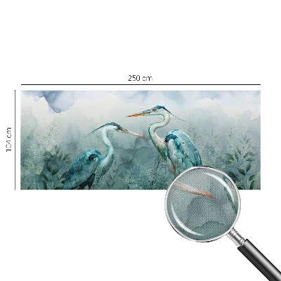 3D fototapeta Vtáky prírody