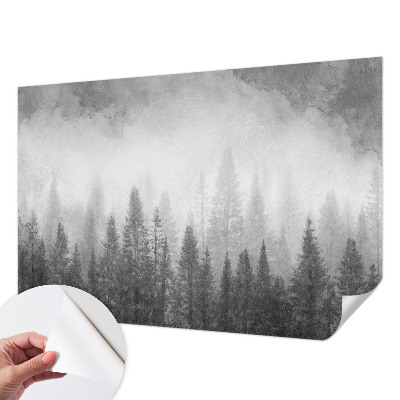 Fototapeta do detskej izby s motívom lesnej hmly