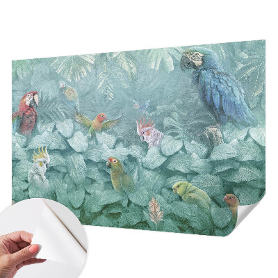 Fototapeta pre dievča Exotické vtáky