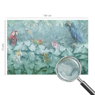 Fototapeta pre dievča Exotické vtáky