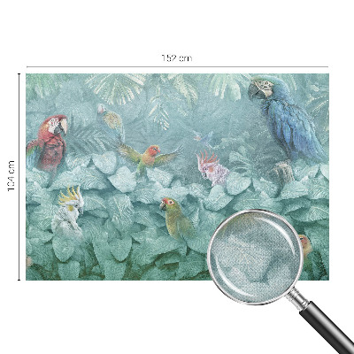 Fototapeta pre dievča Exotické vtáky