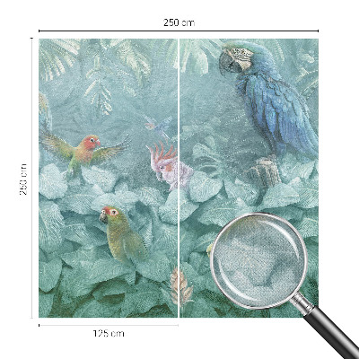 Fototapeta pre dievča Exotické vtáky