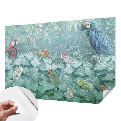 Fototapeta pre dievča Exotické vtáky