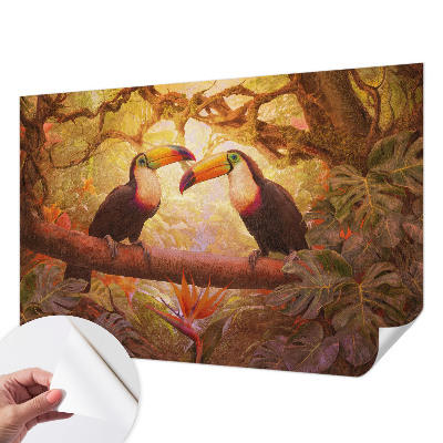 3D fototapeta Farebné tukany