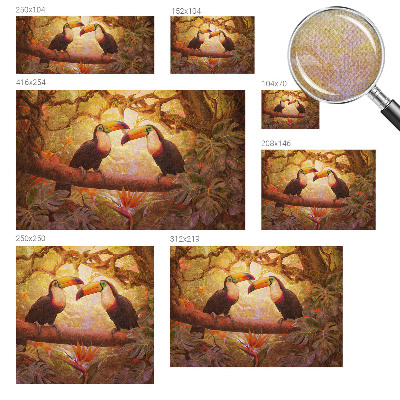 3D fototapeta Farebné tukany