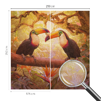 3D fototapeta Farebné tukany