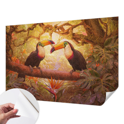 3D fototapeta Farebné tukany