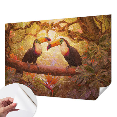 3D fototapeta Farebné tukany