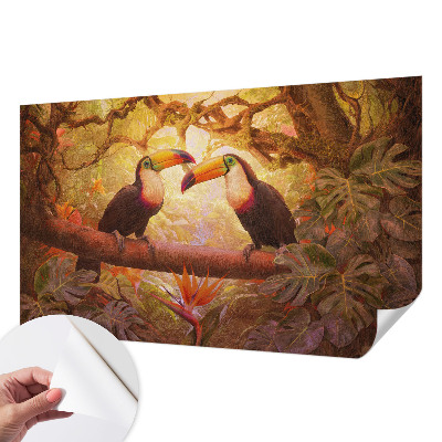 3D fototapeta Farebné tukany