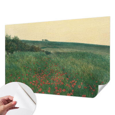Fotografická tapeta do detskej izby s motívom makových polí