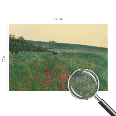 Fotografická tapeta do detskej izby Makové polia