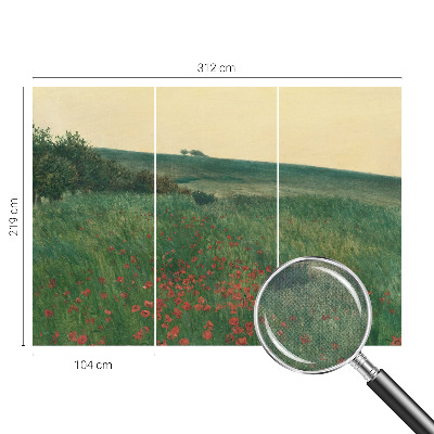 Fotografická tapeta do detskej izby Makové polia