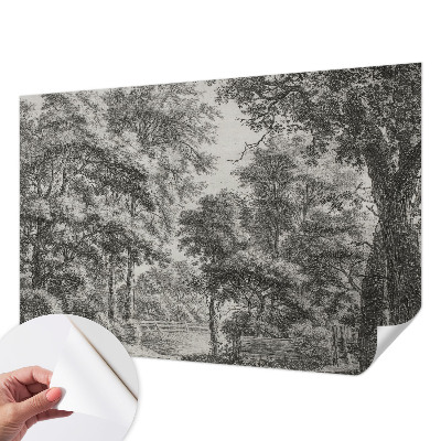 Samolepiaca fototapeta s motívom lesnej scenérie